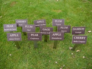 150mm X 100mm Bronze coloured 'Rowmark' Engraving Laminate with Stainless Steel Stakes