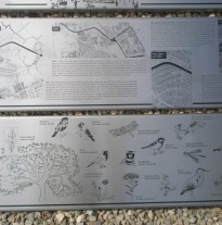 Fine work on stainless steel trays