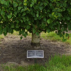 Bronze Memorial Book