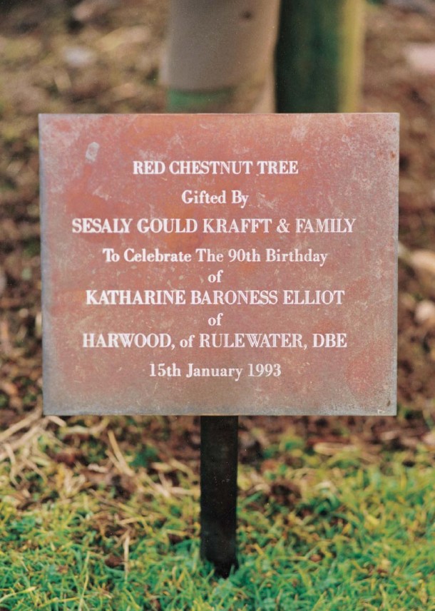 Chestnut tree, bronze going through an odd, but natural ageing process