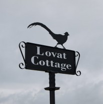 perspex Cock Pheasant