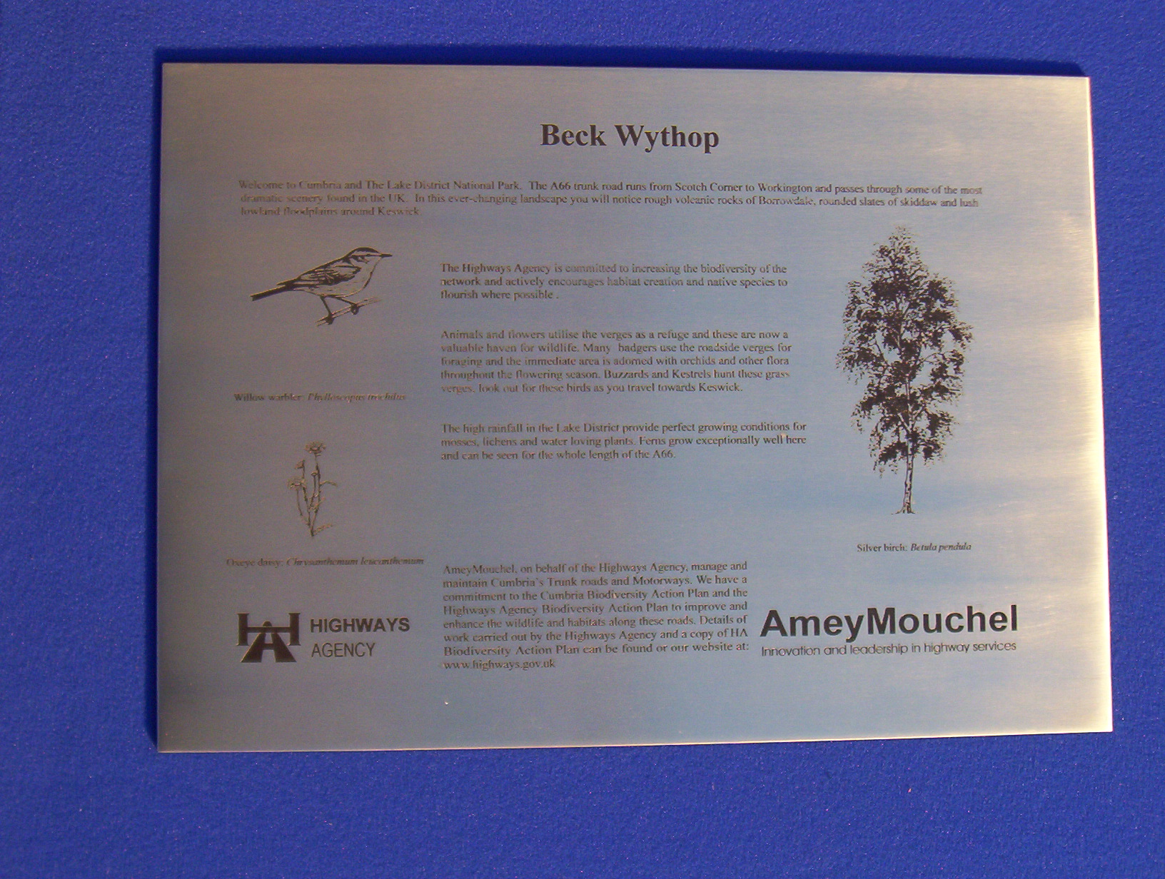 Engraved and then laser blackened, nearly vandal proof!