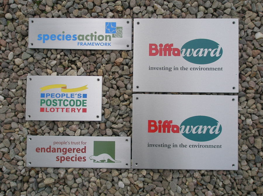 Stainless multicolour