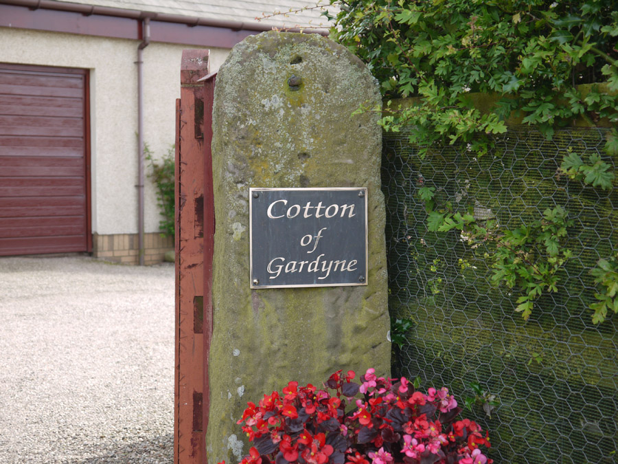 Reverse Etched ,aged and surface polished Bronze