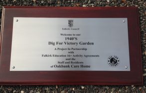 Stainless Steel on Dark Mahogany Backing